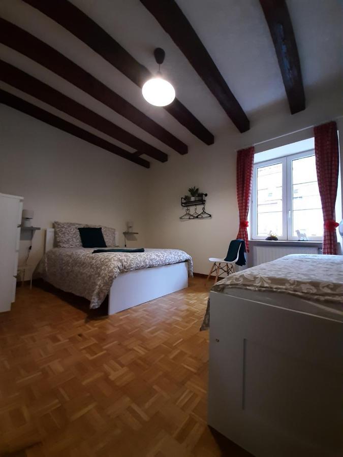 N¨°1 Schongauer Gite De Charme Centre Touristique Colmar Dış mekan fotoğraf