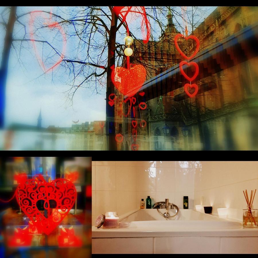 N¨°1 Schongauer Gite De Charme Centre Touristique Colmar Dış mekan fotoğraf