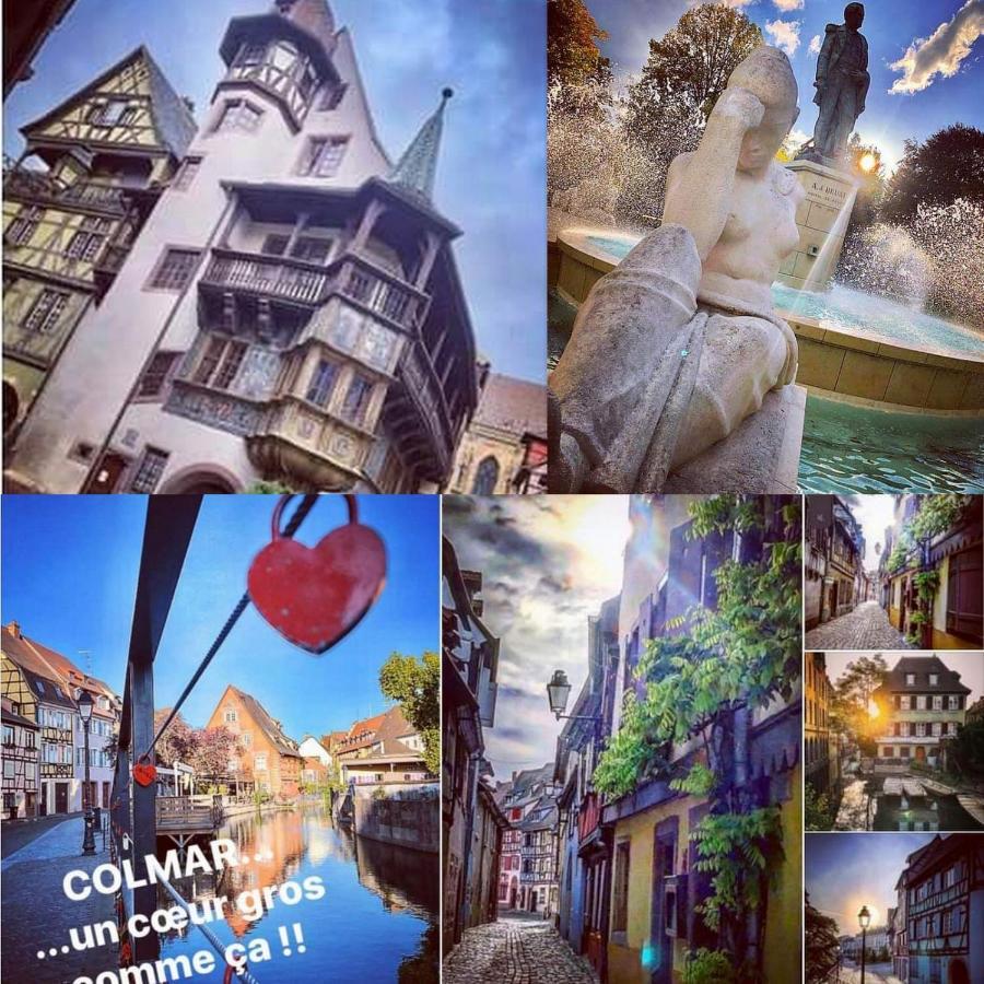 N¨°1 Schongauer Gite De Charme Centre Touristique Colmar Dış mekan fotoğraf